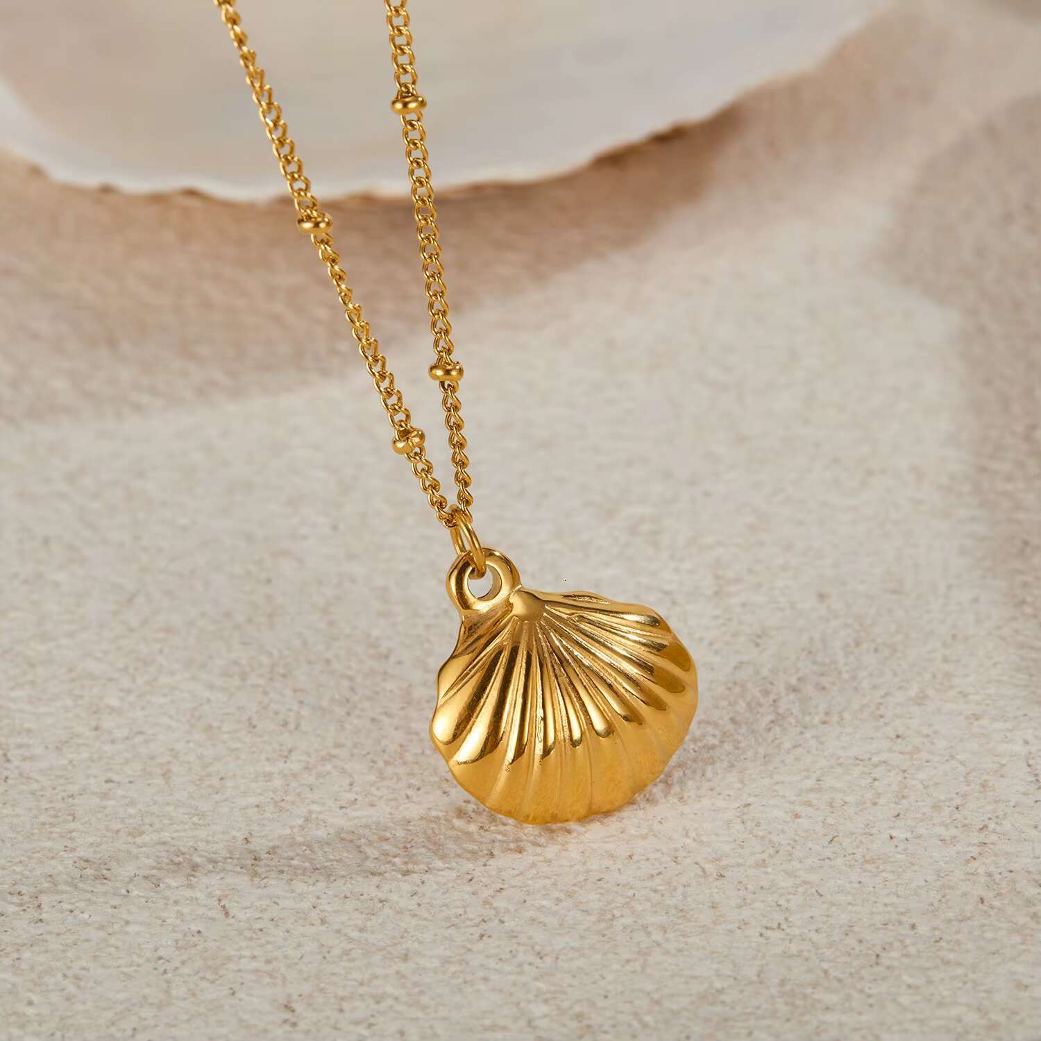 Zhongzhe Fashion Beach Style Shell Pendant Women's Stainless Steel Gold Plated Waterproof Necklace