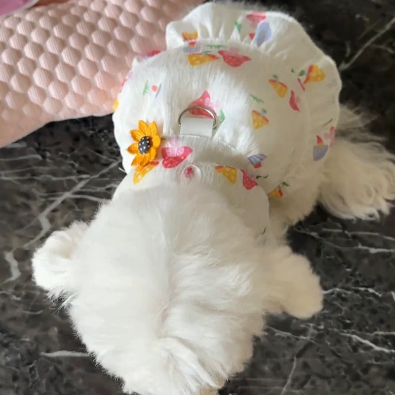 T00192 Dog clothes can be pulled in summer thin breathable cat anti-hair loss vest small dog Teddy cute ins style