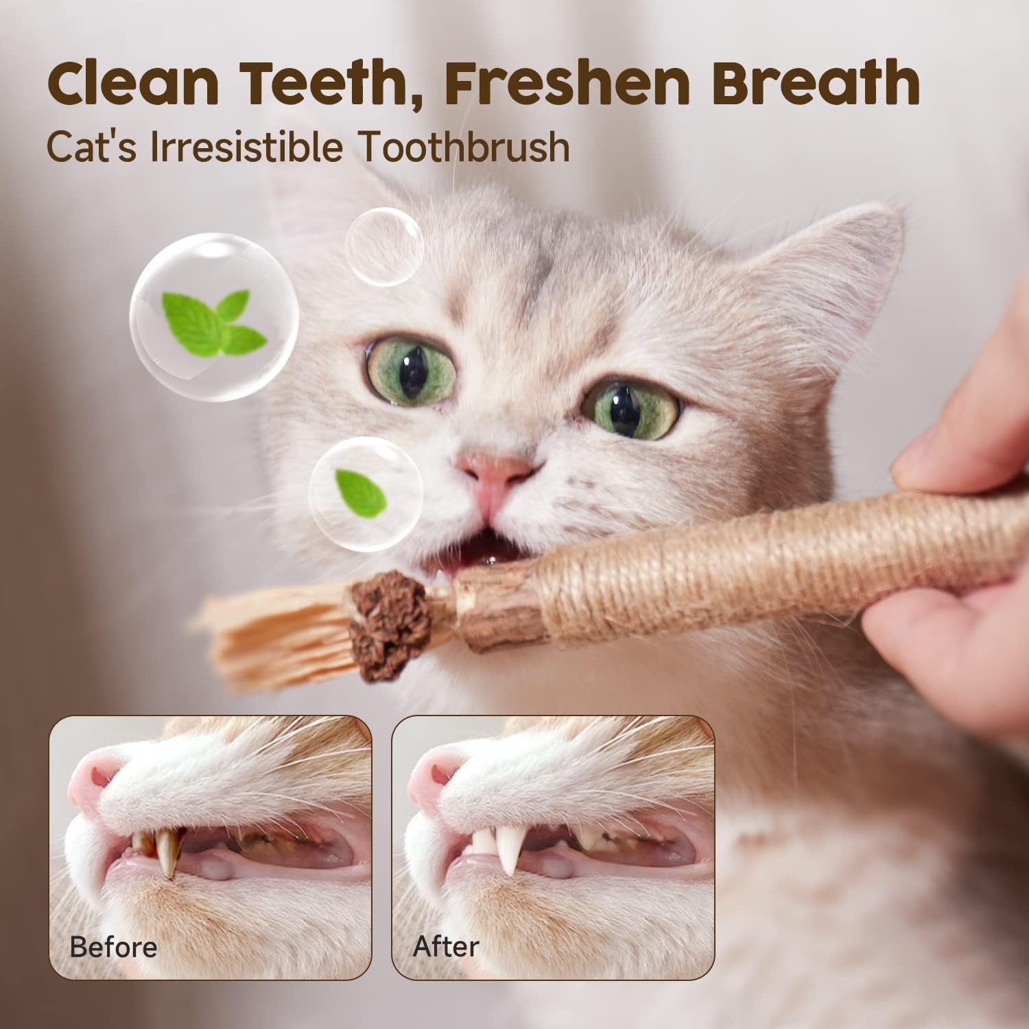 3 Pack Natural Silvervine Sticks Cat Toys, Silvervine Blend Sticks, Kittens Chew Toys Teeth Cleaning, Matatabi Dental Care Cat Treat Edible Kitty Lick