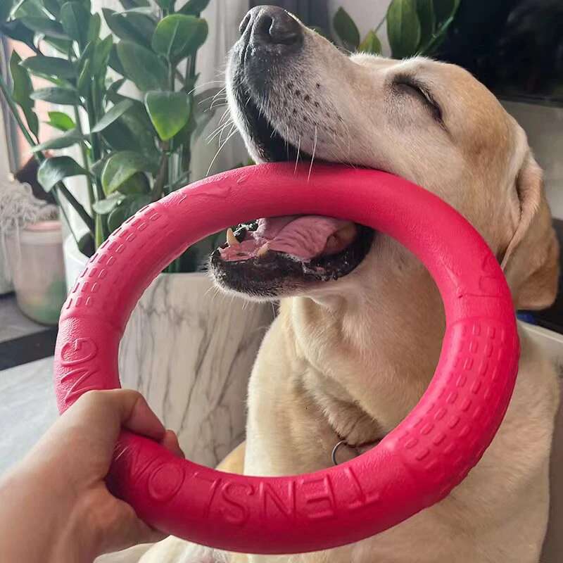 Dog Ring Toys Indestructible Chewing Floating Training Tools Fetch for Small Medium Large Dogs Throwing Catching Flying
