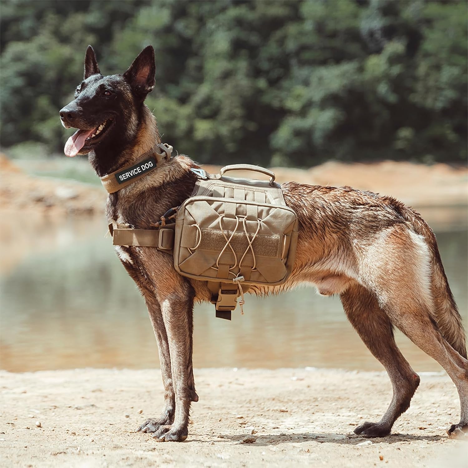 Dog Saddle Backpack bag for Medium Large Dogs to Wear, Nylon Backpack for Dogs Tactical Pet Backpack with Side Pockets for Hiking Walking Training Run
