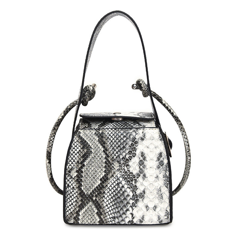 Designer Pack New Ins Handheld Women S Bag Fashion Autumn Trendy Style Snake Skin Pattern Free Shipping