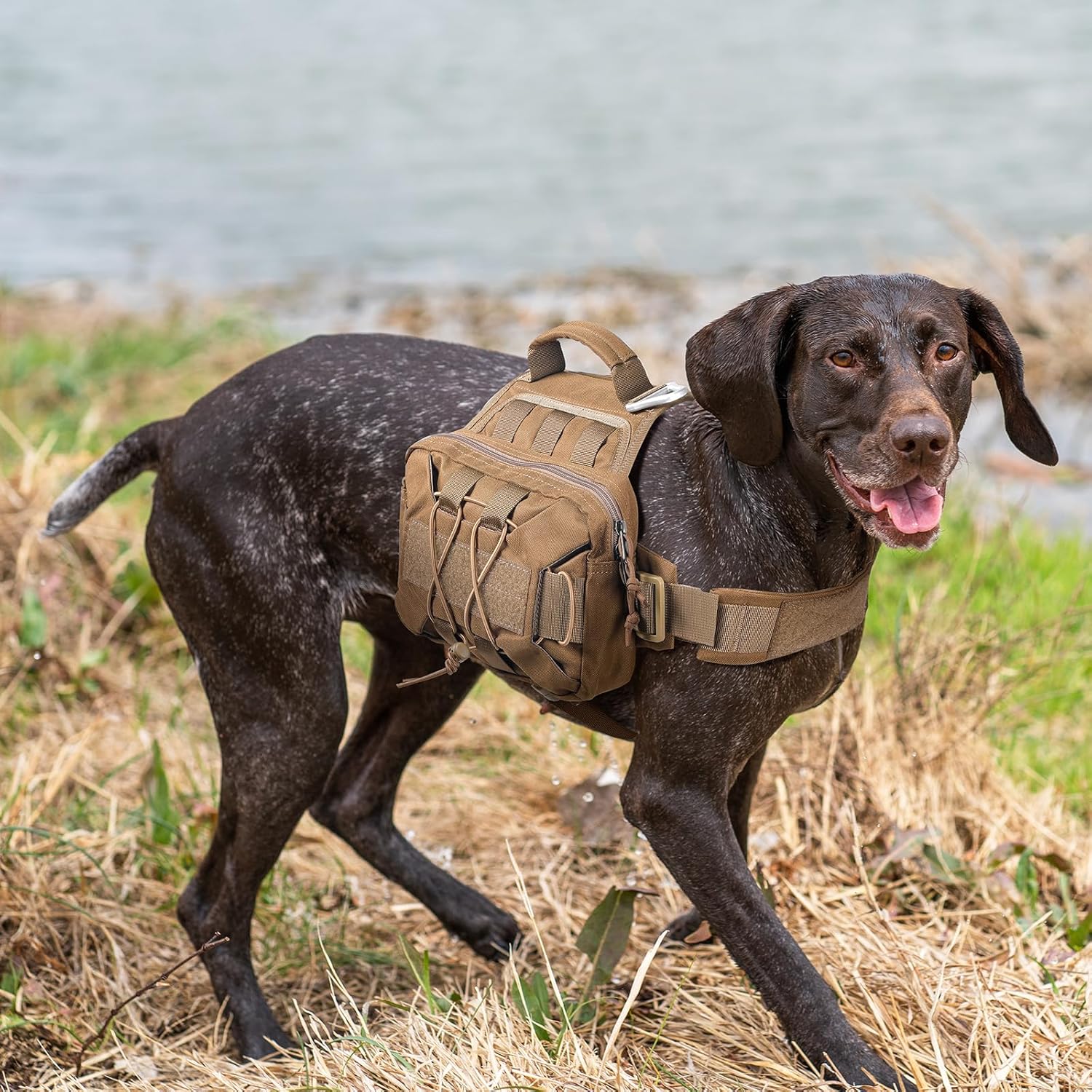 Dog Saddle Backpack bag for Medium Large Dogs to Wear, Nylon Backpack for Dogs Tactical Pet Backpack with Side Pockets for Hiking Walking Training Run