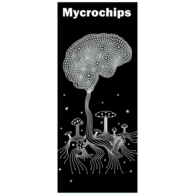 Mycrochips Shroom Chocolate Bar Packaging Boxes with Compatible Mold and Foil Wrapper