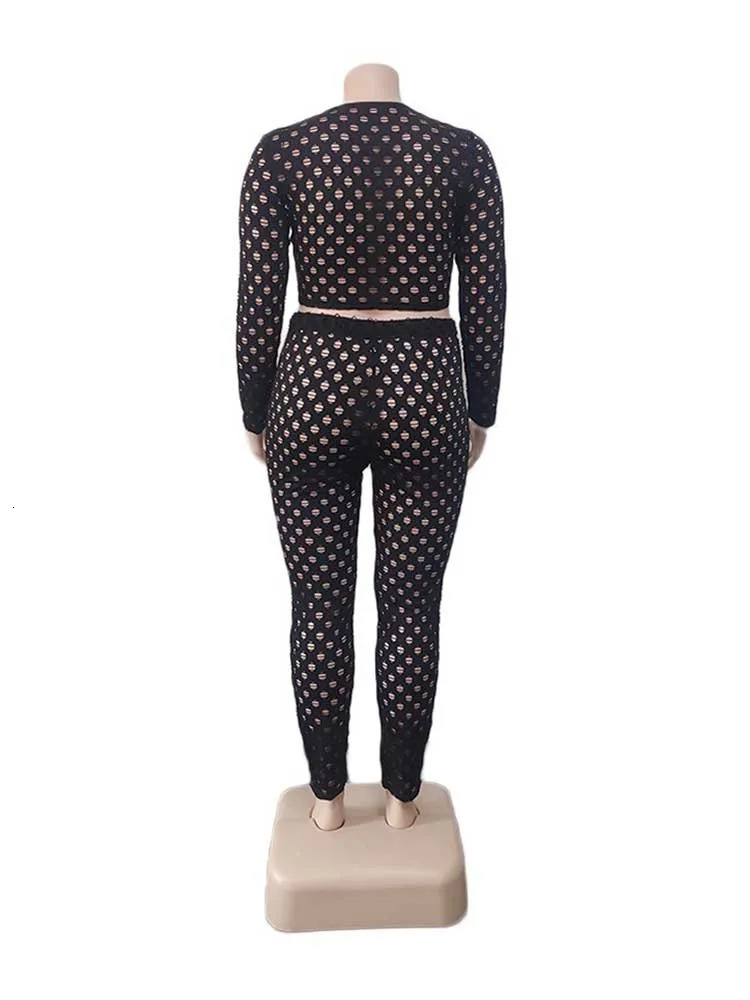 Plus Size Women 2 Piece Sets Spring Wear Round Neck Long Sleeve Crop Top and Pants Suit Hollow Out Black Mesh Sexy Outfits 250506