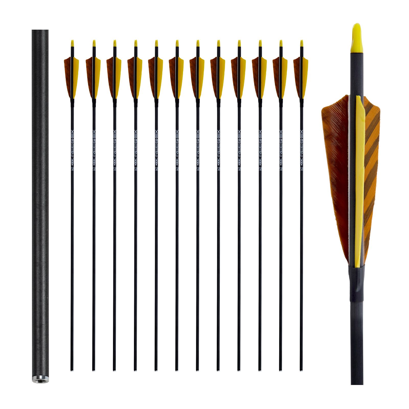 Archery Targeting Arrows Turkey Feathers without arrowheads 31inch Carbon Hunting Arrows 6.2mm Training Arrows for Recurve Bow & Compound Bow Spine250