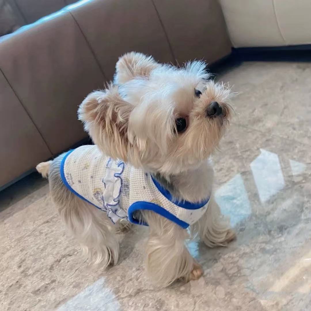 T00196 Bi Xin pet dog clothes vest spring and autumn thin cat cat Pomeranian Bichon small puppy Teddy spring and summer.