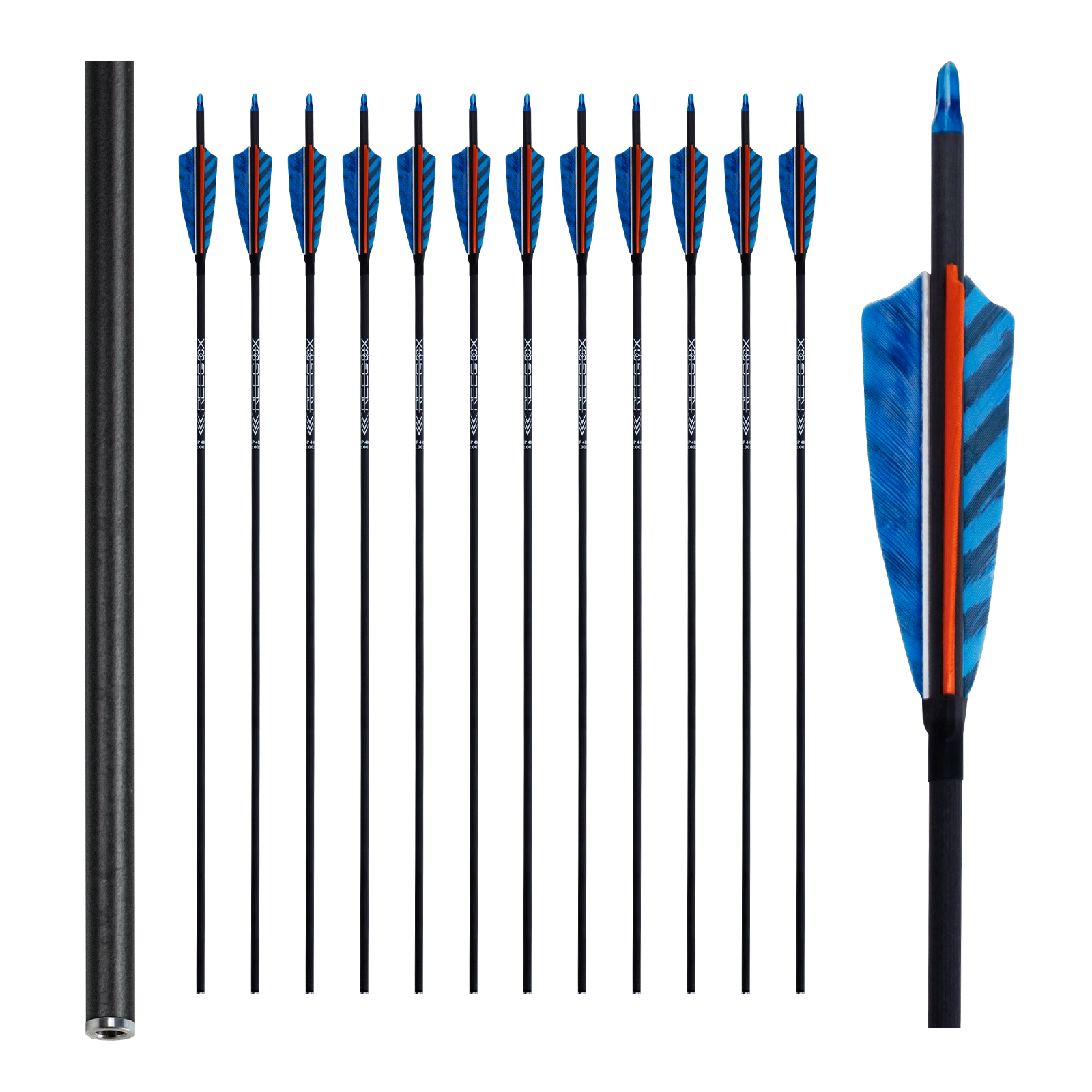 Archery Targeting Arrows Turkey Feathers without arrowheads 31inch Carbon Hunting Arrows 6.2mm Training Arrows for Recurve Bow & Compound Bow Spine250