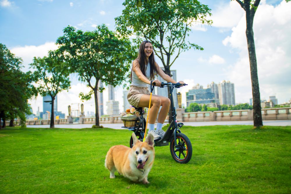 UK STOCK DYU C4 Electric Scooter for Adults 14 inch 250W Folding E-Scooter with Seat 36V 10Ah 25kmh speed