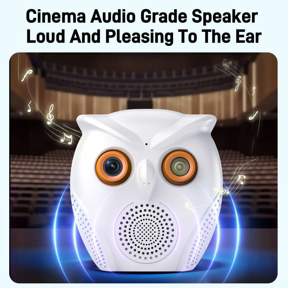 Wifi installation-free home cat Bluetooth audio HD camera owl alarm wide-angle field of view monitoring