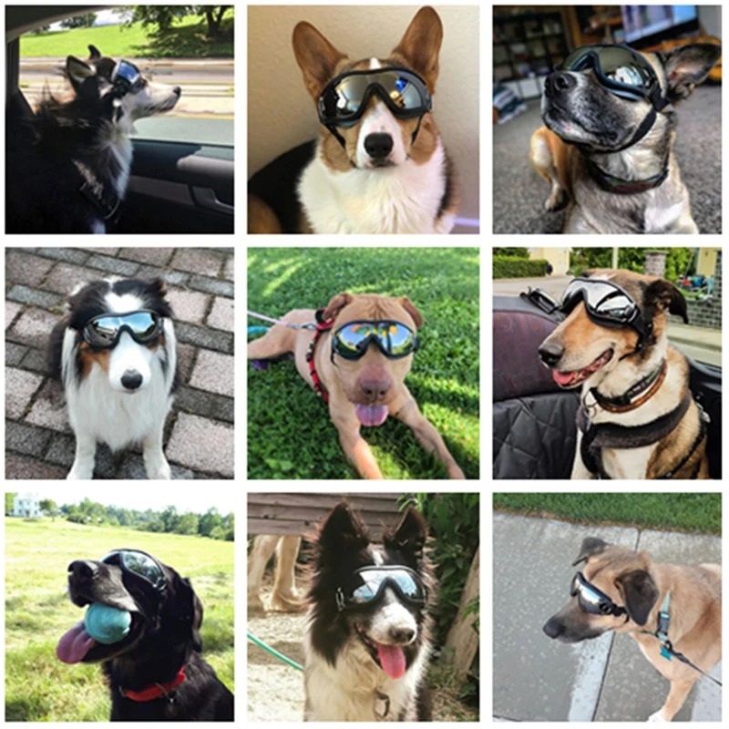 Adjustable Pet Dog Goggles Sunglasses Anti-UV Sun Glasses Eye Wear Protection Waterproof Windproof Sunglasses Pet Dog Supplies