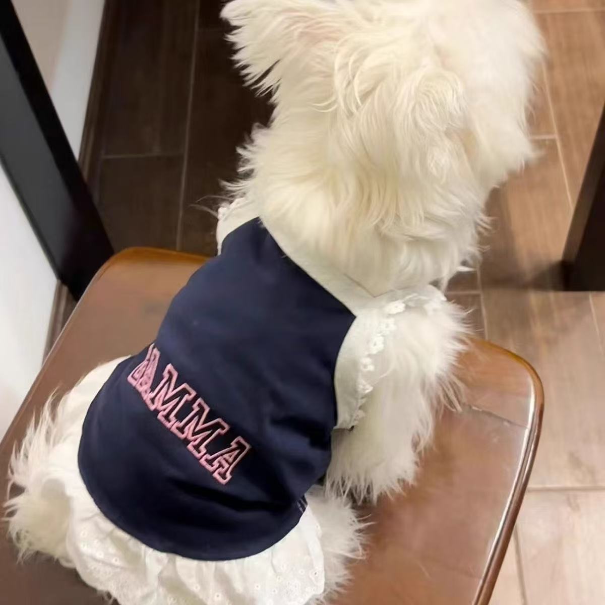 T00193 Clothes Spring Summer Thin Striped Belt Traction Buckle Vest Pet Cat Bichon Teddy