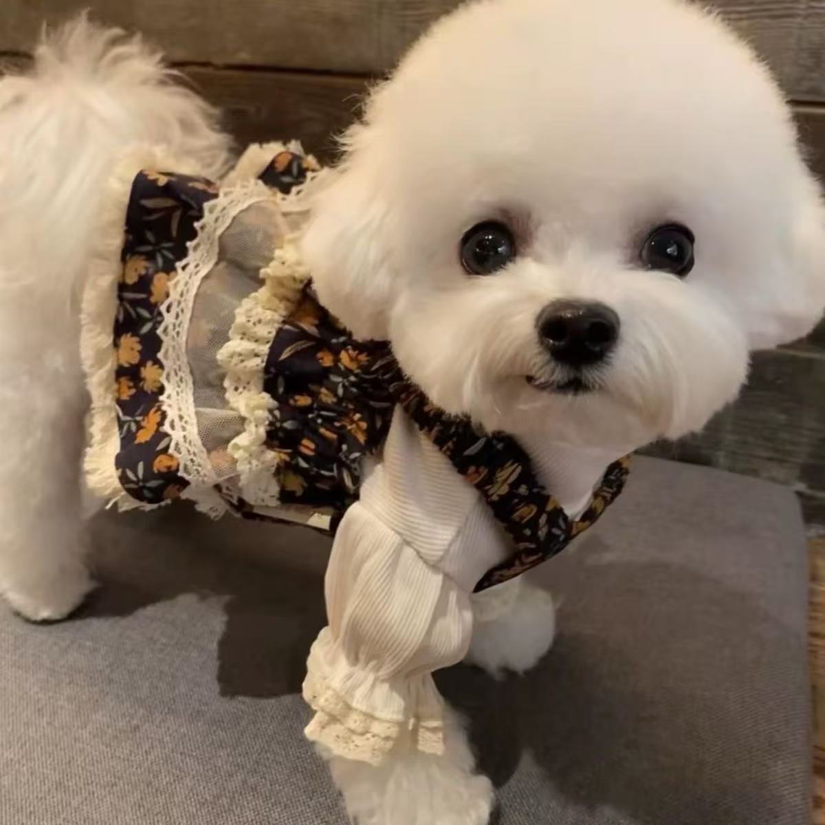 T00195 Pet cats and dogs spring and summer Korean style gentle and cute small floral cake skirt for small and medium dogs