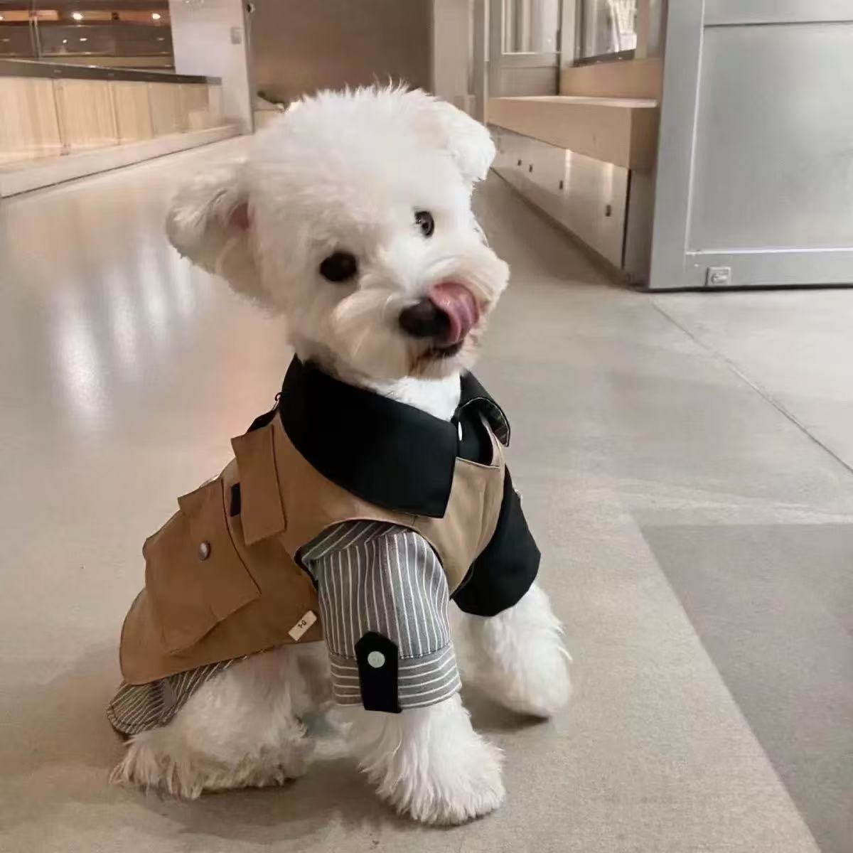 T00201 Dog clothes all seasons wear workwear vest pet traction schnauzer bichon shiba inu trendy work coat