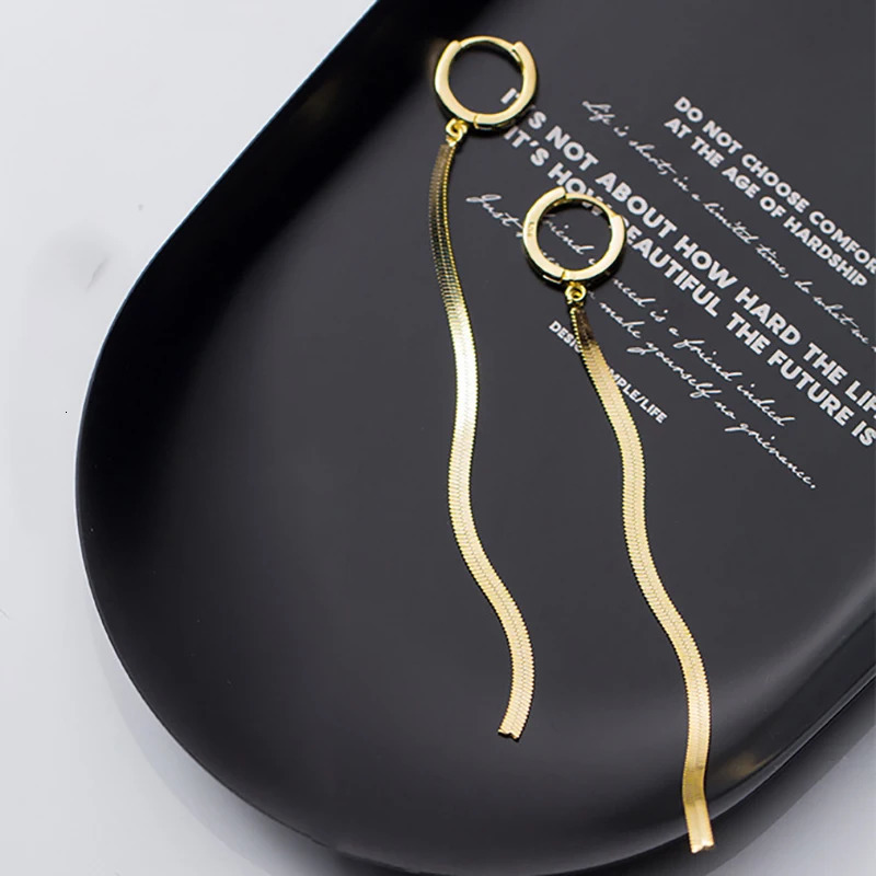Fashion Stainless Steel Gold Color Long Tassel Earrings for Women Simple Geometric Unique Korean Earrings Wedding Jewelry Gifts 250513