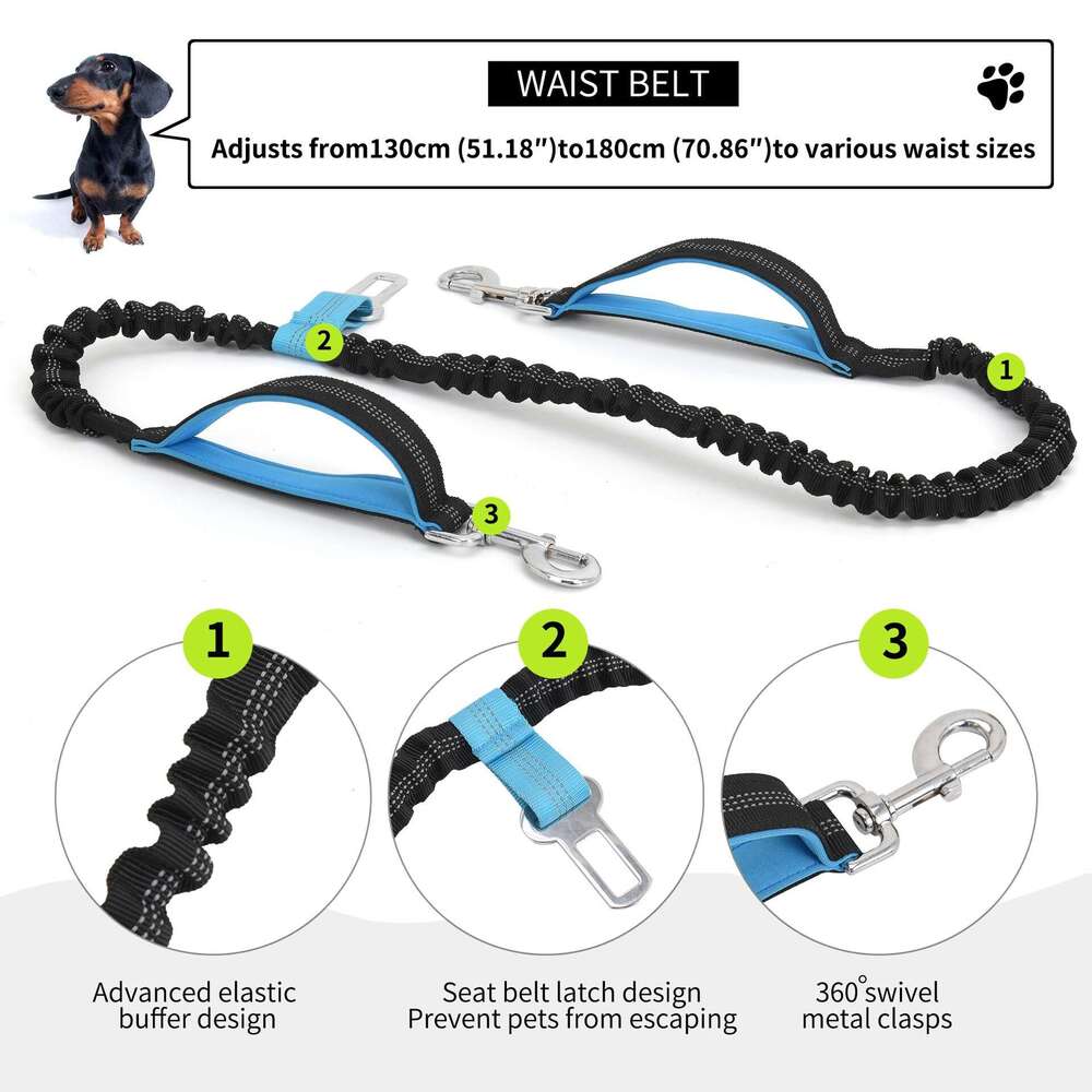 Dog outdoor running training, sports waist bag, waterproof and anti-collision, dog walking leash supplies, pet