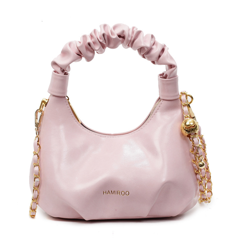 Niche handbag women's spring and summer 2025 new fashion chain shoulder crossbody pleated hand-held dumpling bag