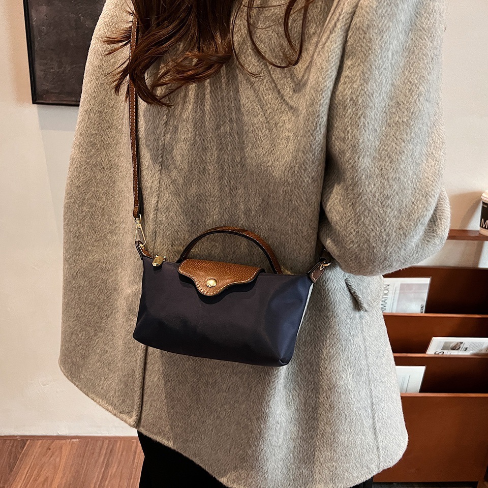 2025 new niche light luxury dragon bags set with nylon hand-held shoulder crossbody bag, contrasting color splicing dumpling bag