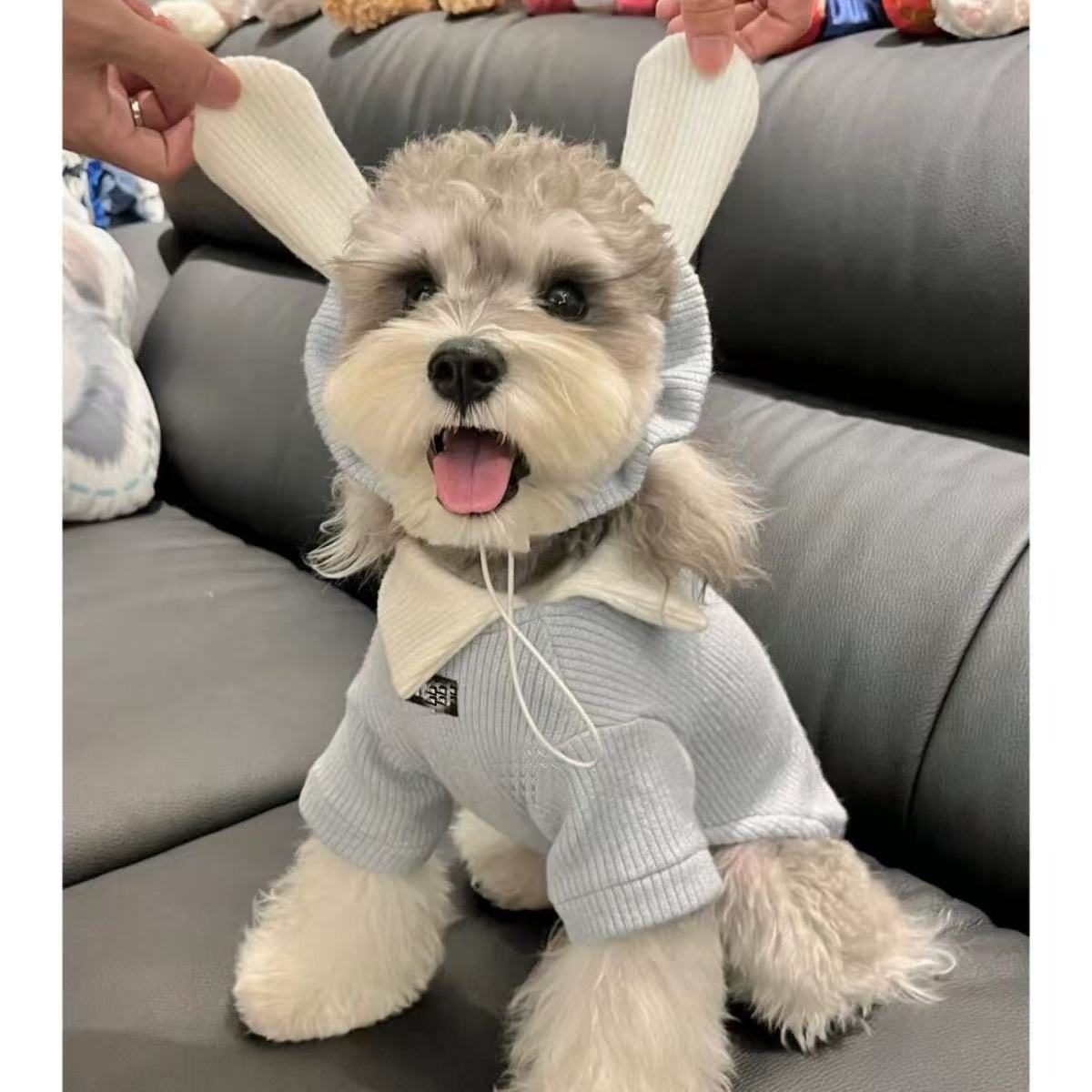 T00197 Pet sweater with hood autumn and winter new trend brand Schnauzer Teddy cold-proof puppy thickened cat clothes