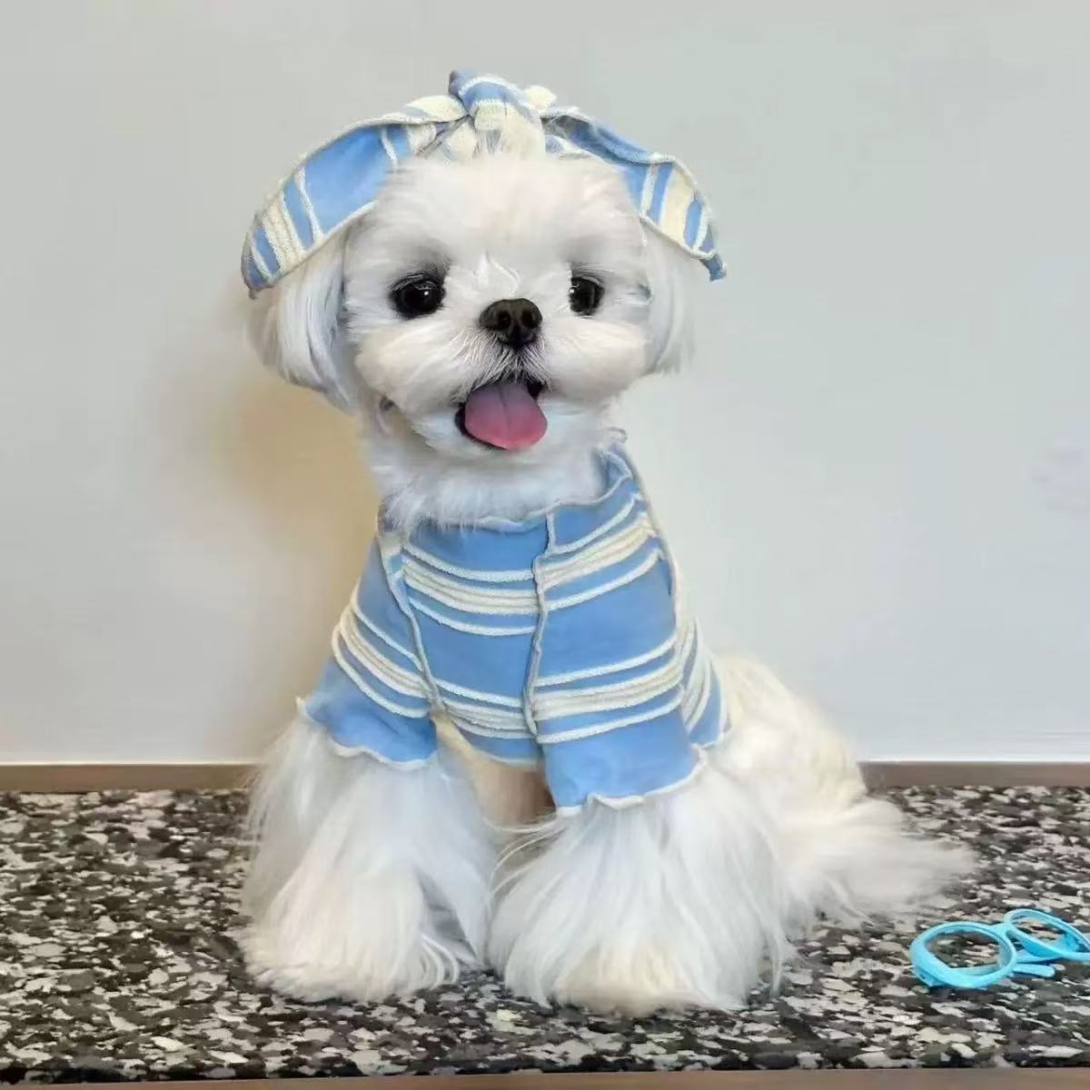 T00200 Spring and autumn thin summer dog pet clothes Schnauzer Maltese small dog Bichon Teddy cat clothes