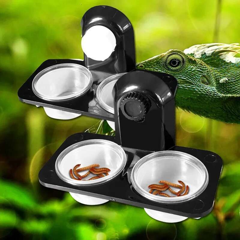 1pcs Reptile Tank Insect Spider Ants Nest Snake Gecko Food Water Feeding Bowl Breeding Feeders Box Pets Supplies