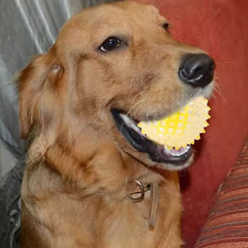 Bite-proof Interactive Glow-up Spike Balls: Fun & Safe Indoor/Outdoor Activity for Canines of All Sizes