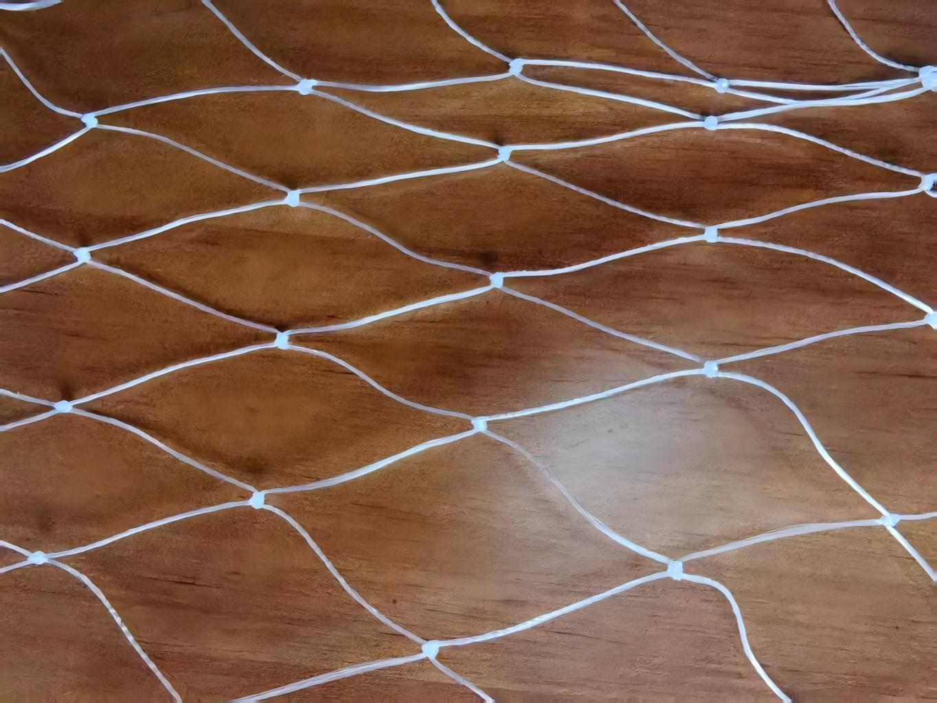 High Strength Abrasion-Tear Resistant Nylon Mono-Fishing Net, Durability Ensured by 0.46mm Thick Polyamide (PA) Fabric