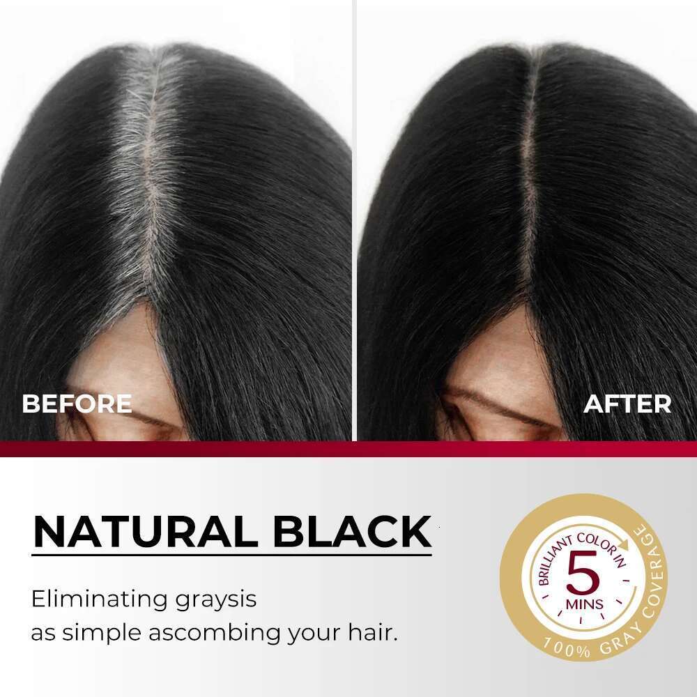 Karseell 6-In-1 White Dye For Men Women Natural Balck And Brown Color Cream Easy Comb-In Hair Coloring Products