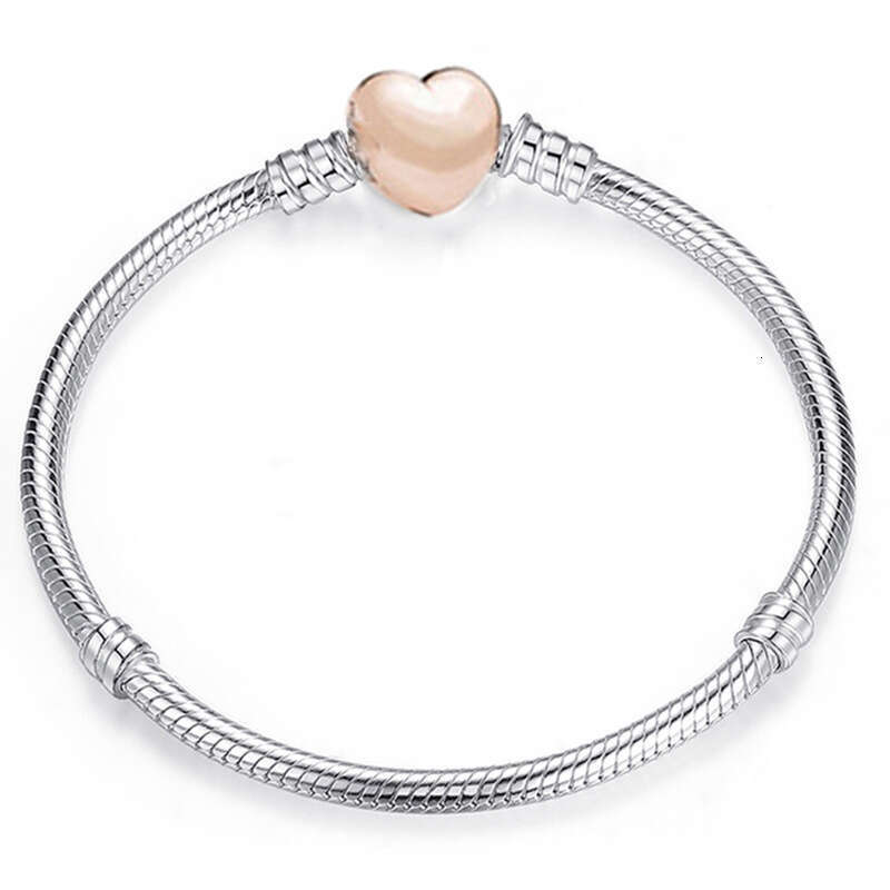 Panjiadora Basic Chain Women's Crown Zircon Snake Bone DIY Bracelet