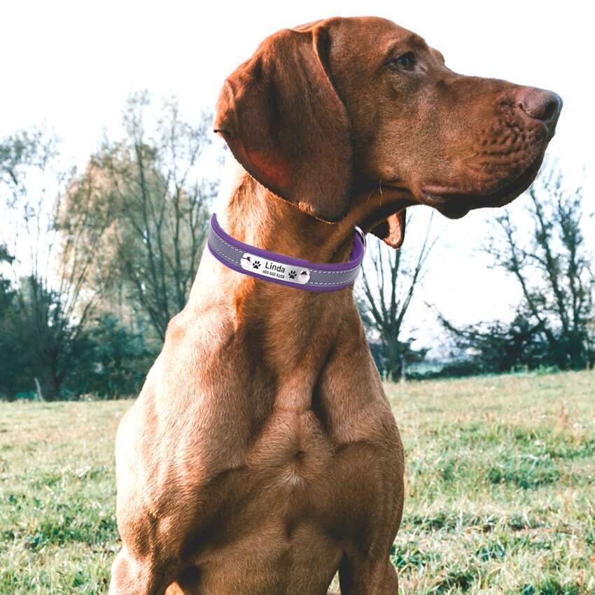 Personalized Dog Reflective Leather ID Custom Tag Engraved Collars for Small Large Dogs Puppy Collar Pet Accessories