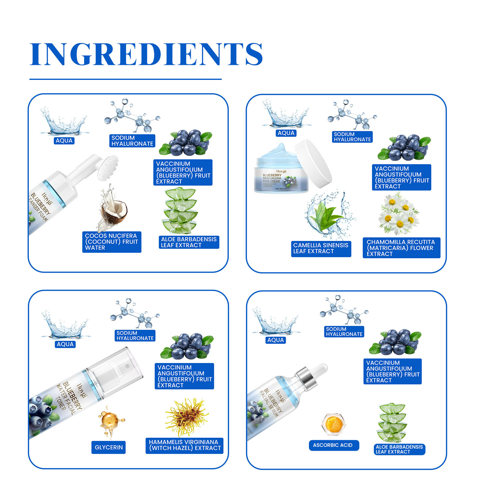 Hoygi Blueberry Facial Set - Facial Deep Cleansing Anti-Wrinkle Skin Care Set