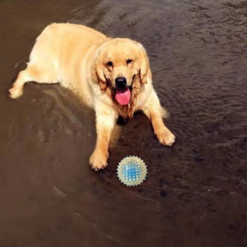 Bite-proof Interactive Glow-up Spike Balls: Fun & Safe Indoor/Outdoor Activity for Canines of All Sizes