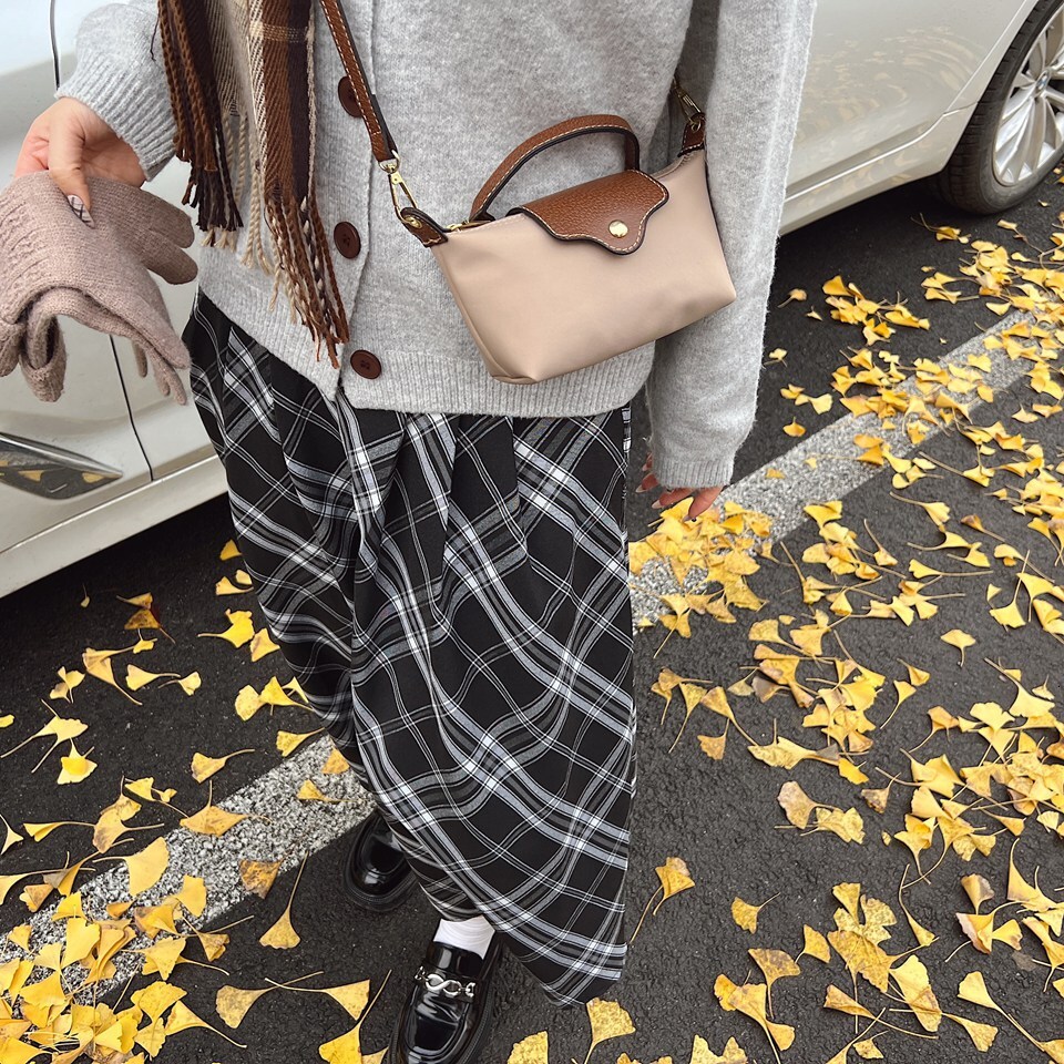 2025 new niche light luxury dragon bags set with nylon hand-held shoulder crossbody bag, contrasting color splicing dumpling bag