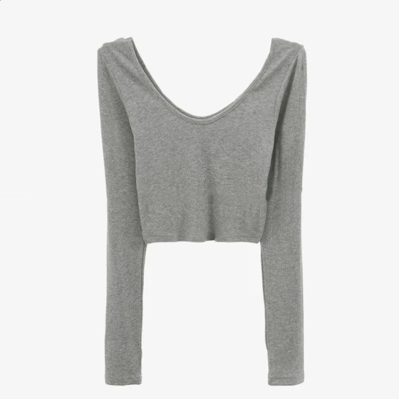 Womens Spring 2025 Basic Ultra Thin Tshirt Oneck Long Sleeve Solid Casual Top Elastic Flat Office Women 250506