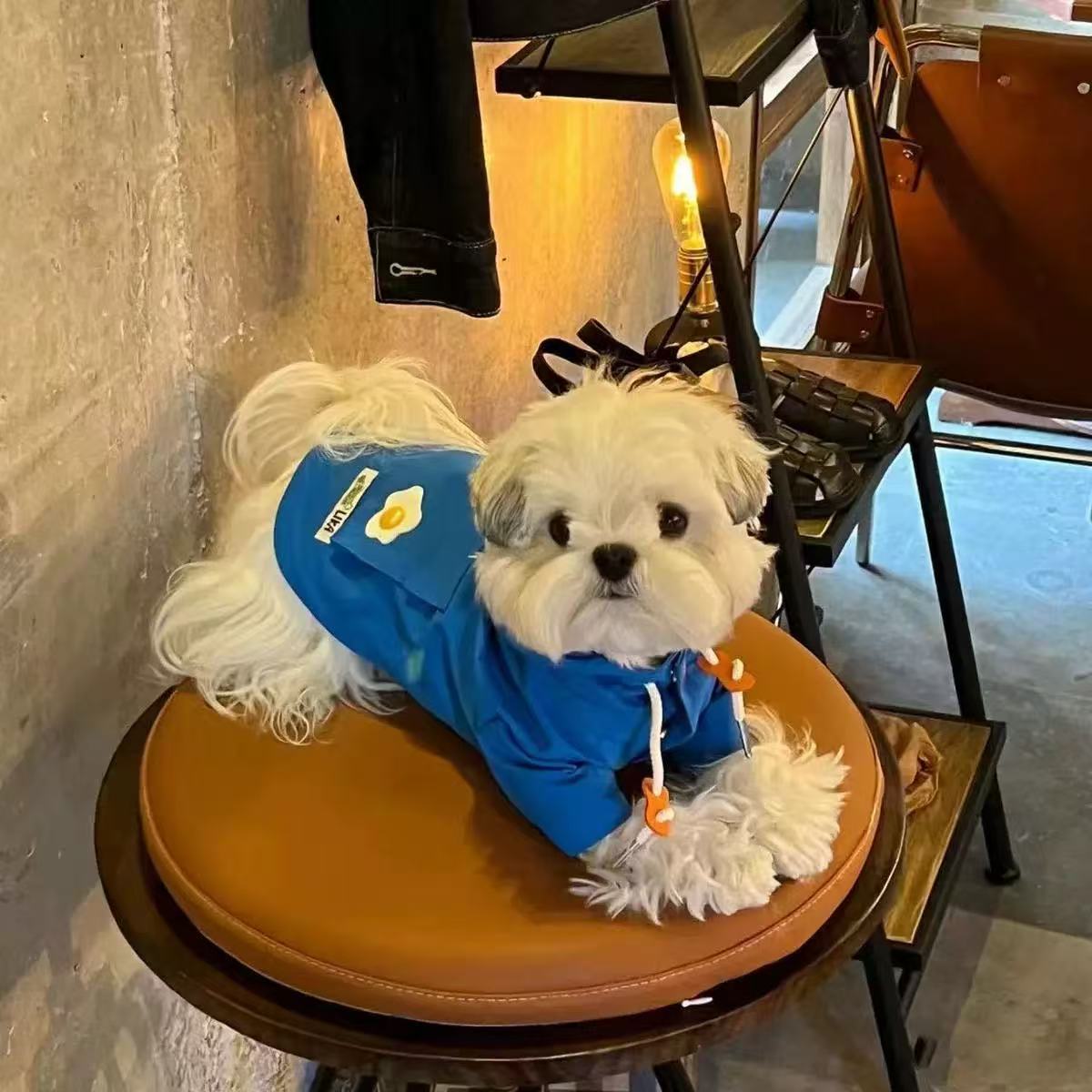 T00203 Pet windproof cotton clothes Maltese Bichon Schnauzer dog cat autumn and winter warm clothes