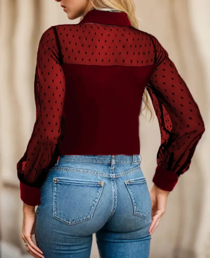 Plus Size Swiss Dot Mesh Stitching Blouse Elegant Collared Long Sleeve Top For Spring Fall Womens Clothing 250514