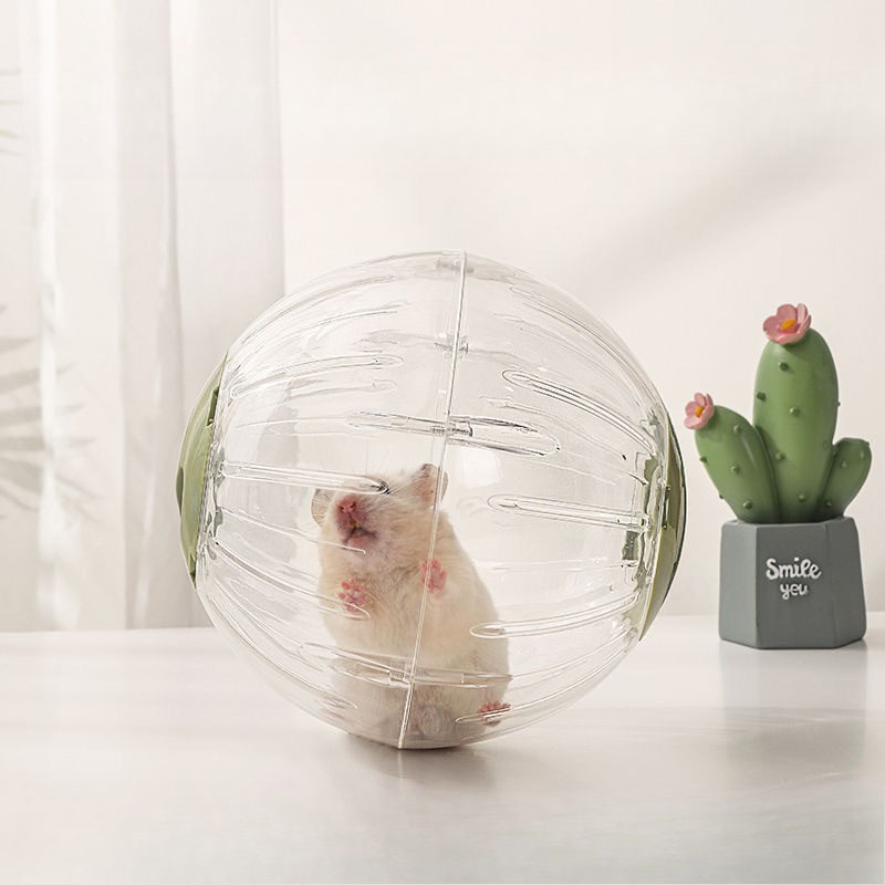 Transparent Exercise Ball for Dwarf Hamsters - Encourages Movement & Reduces Stress
