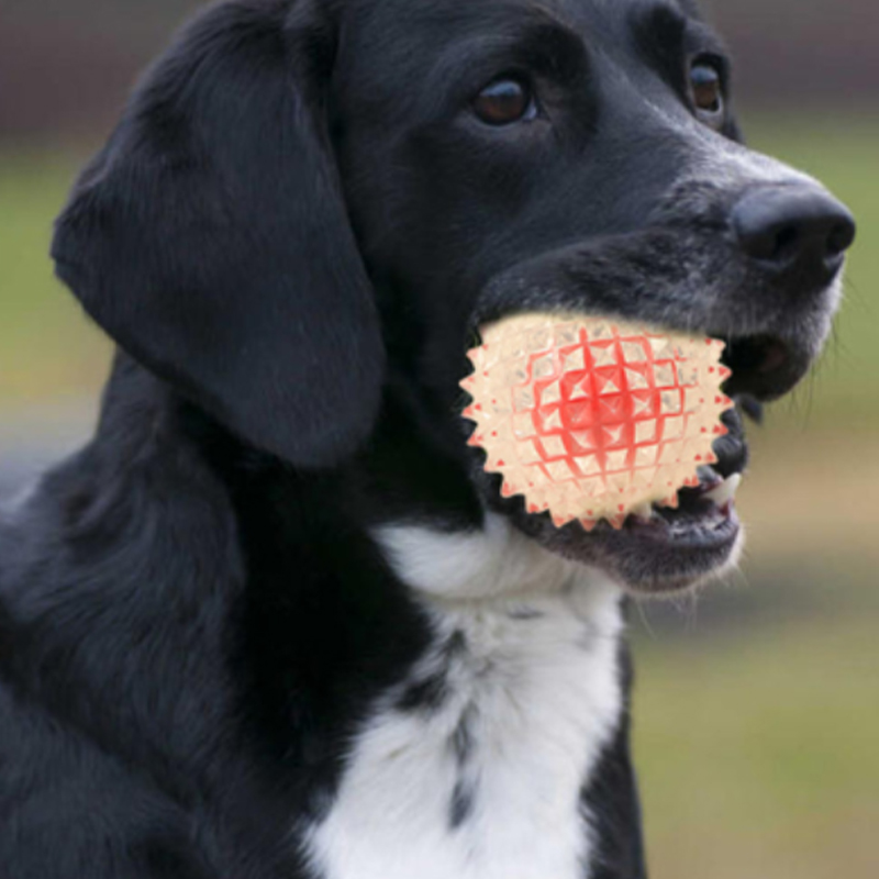 Bite-proof Interactive Glow-up Spike Balls: Fun & Safe Indoor/Outdoor Activity for Canines of All Sizes