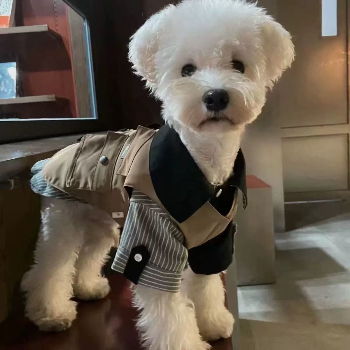 T00201 Dog clothes all seasons wear workwear vest pet traction schnauzer bichon shiba inu trendy work coat