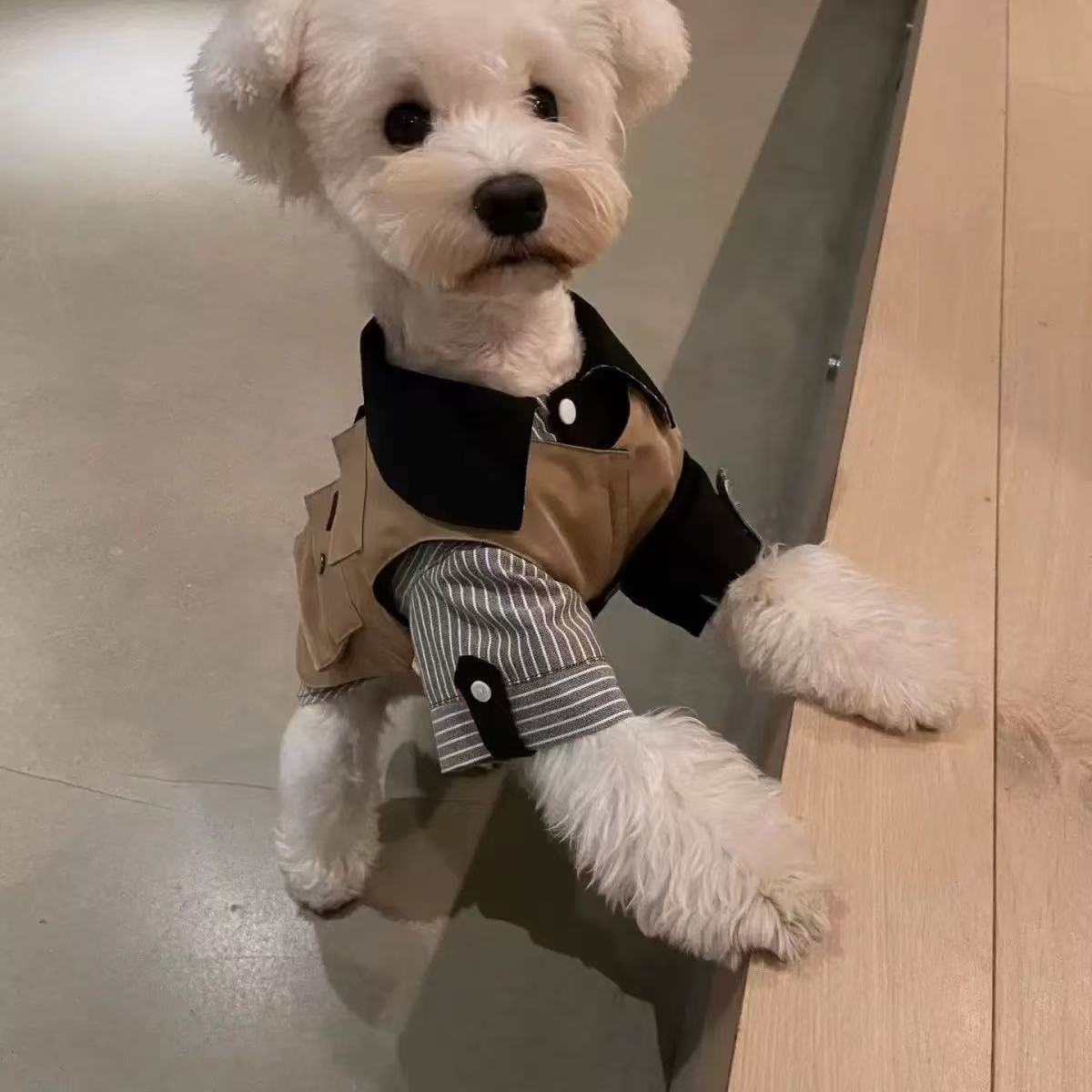 T00201 Dog clothes all seasons wear workwear vest pet traction schnauzer bichon shiba inu trendy work coat