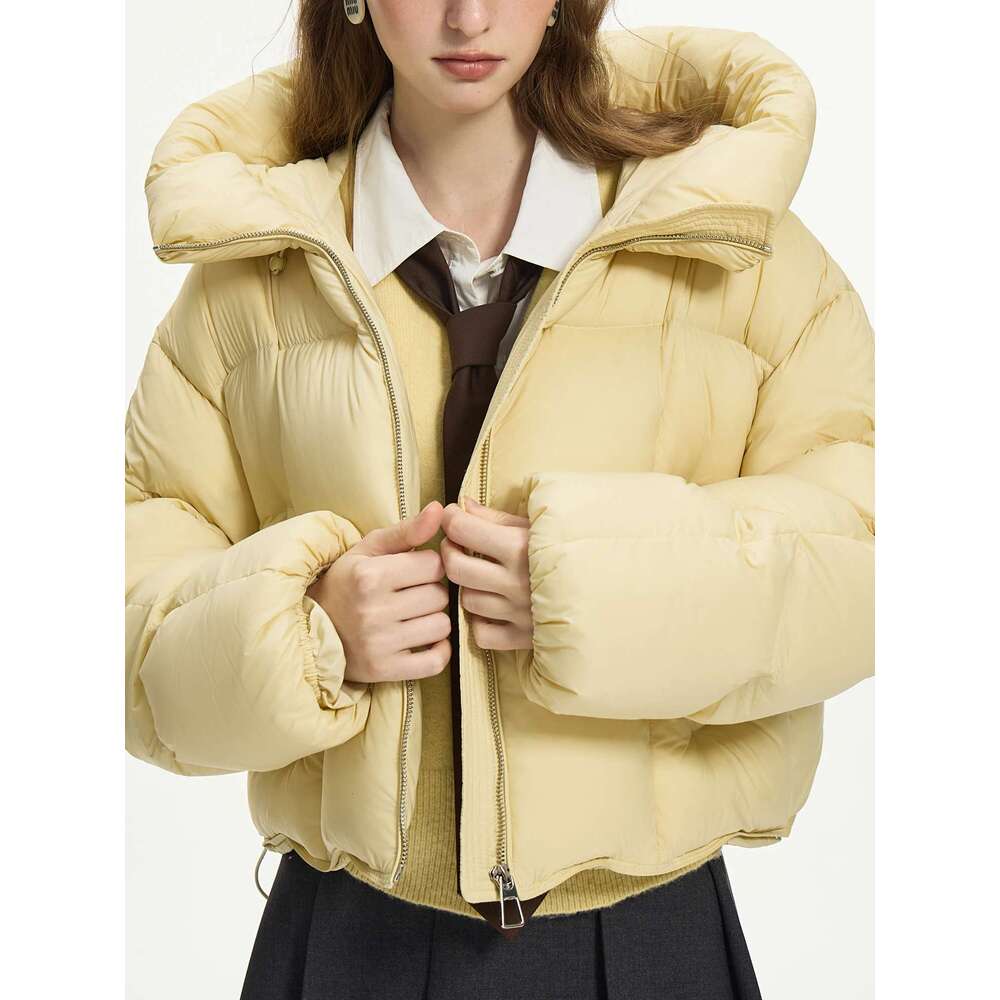 FSLE 168G Filling Amount 4 Color Short Chic Coat For Female 2024 Winter Fashion Hooded Warm Down Jacket 24Fs14134