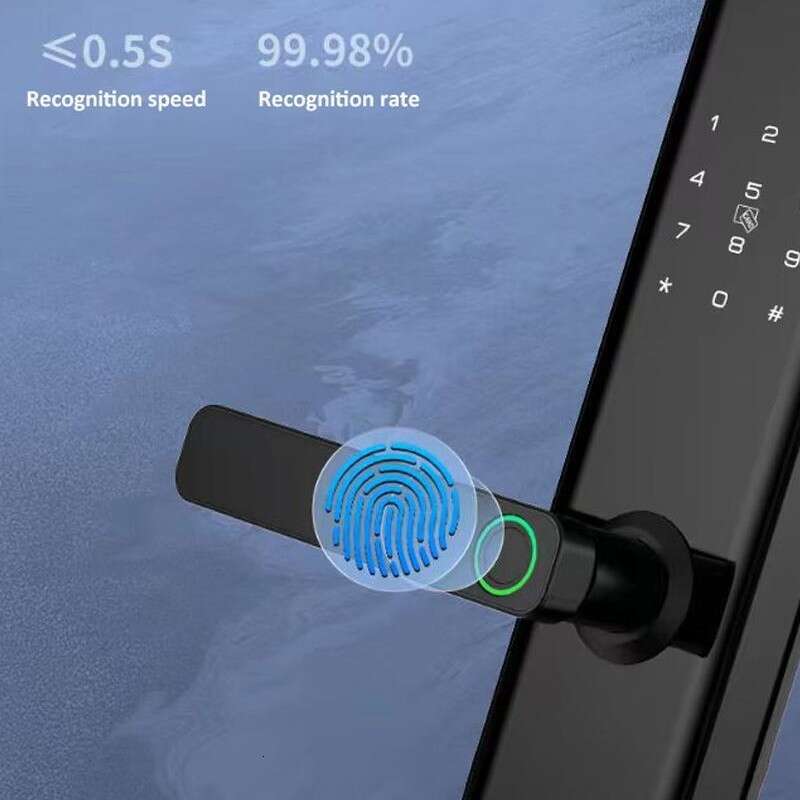 Graffiti fingerprint graffiti cat eye password lock, wooden home anti-theft door, intelligent lock