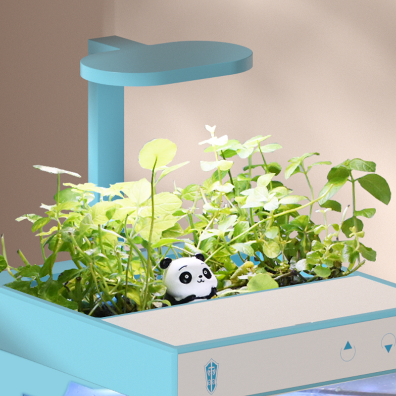 Small eco ultra-white fish tank aquarium with self-cleaning High-transparency low-energy filter Desktop-sized