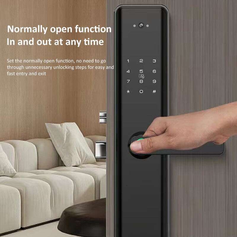 Graffiti fingerprint graffiti cat eye password lock, wooden home anti-theft door, intelligent lock
