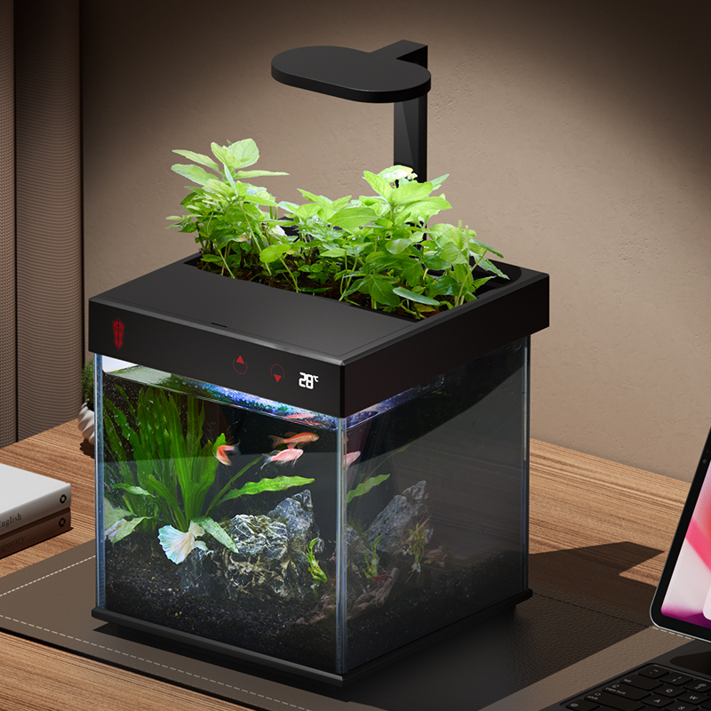 Low-maintenance fish tank aquarium with no water change Features swamp pool for plants built-in filtration compact desktop design