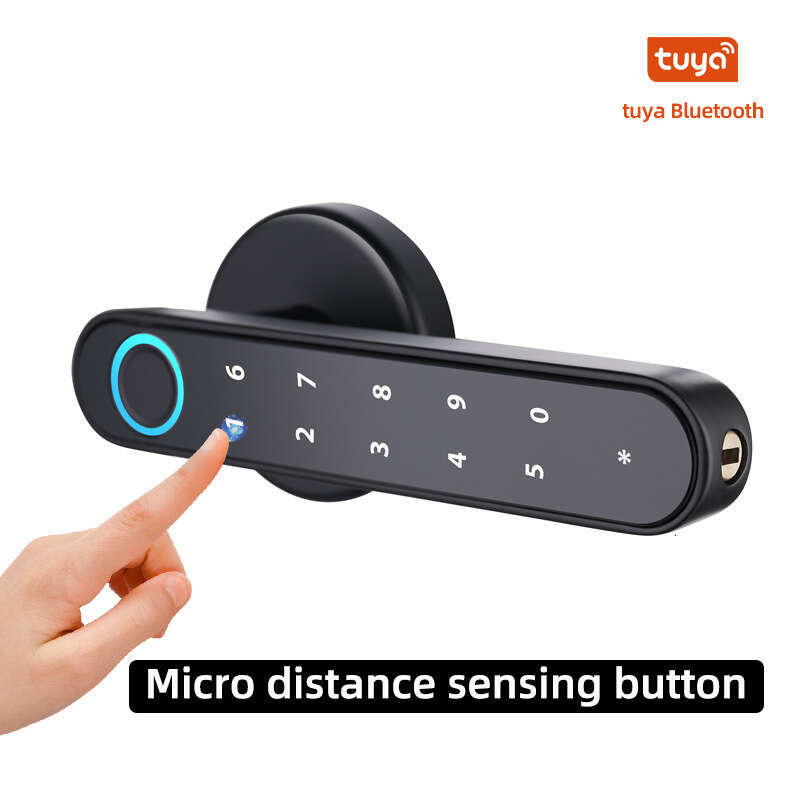 Spherical fingerprint lock cross-border smart lock wooden door electronic door lock foreign trade one-grip single tongue graffiti smart lock