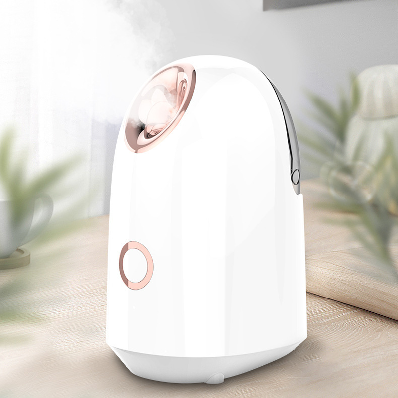 Thermal Spray Facial Steamer Beauty Instrument Ion Moisturizing And Hydrating Spray Apparatus