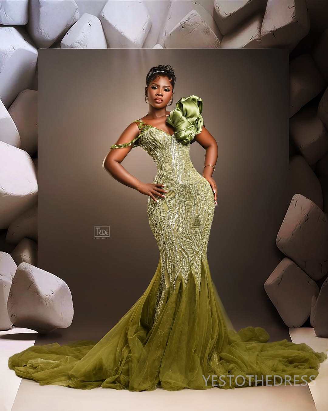 2025 Plus Size Aso Ebi Prom Dress Mermaid Prom Dresses Evening Formal Gowns V Neck Beaded Lace Flora Birthday Dress Second Reception Gowns For Black W
