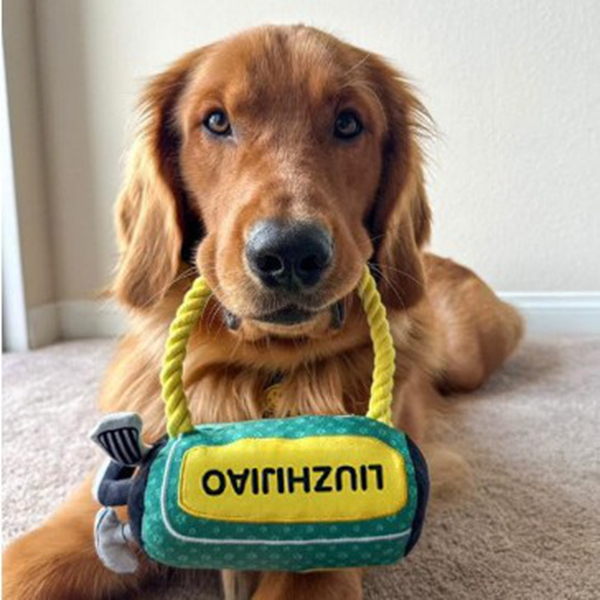 Golf Bag Squeaky Plush Dog Toys, Stuffed Plush Chew Toys with Durable Nylon Rope, Cute Soft Dog Toys for Teeth Cleaning, for Small Medium Large Dogs E