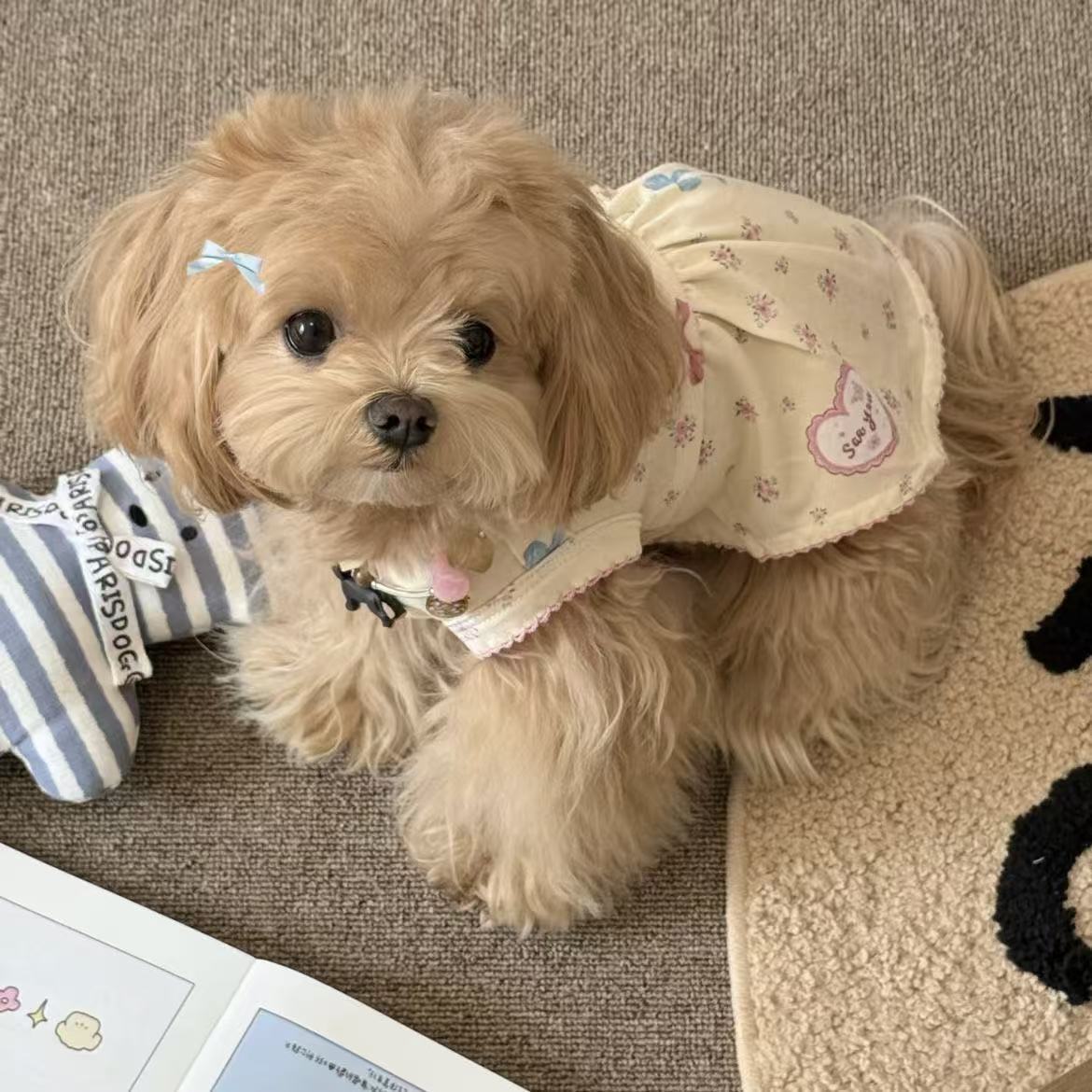 T00207 Pet spring sweet and cute floral vest dress home cat anti-hair loss summer small dog clothes